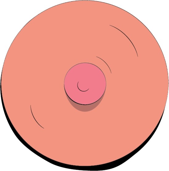 Nipple And Areola Reduction Surgery 